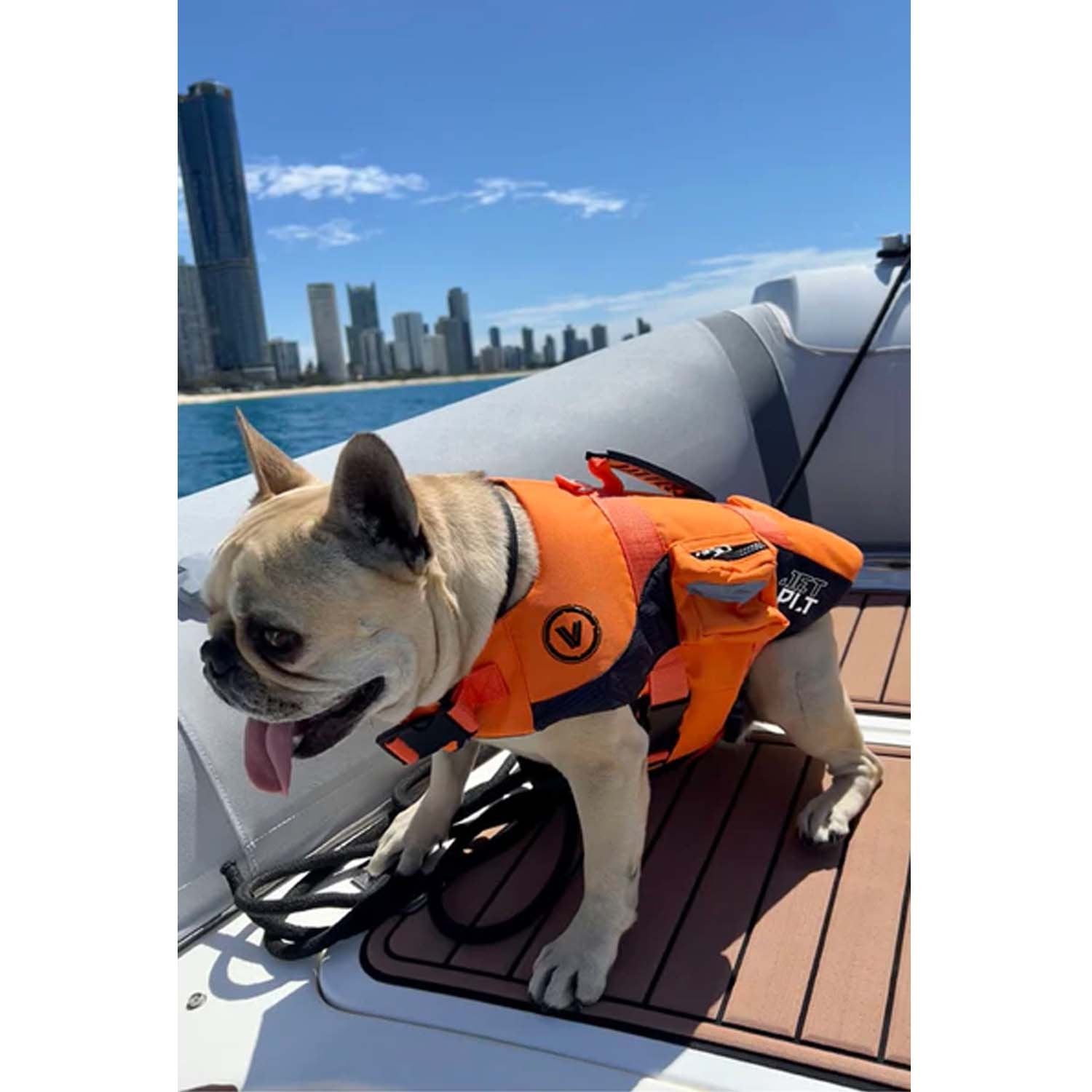 2025 JETPILOT VENTURE DOG VEST - ORANGE